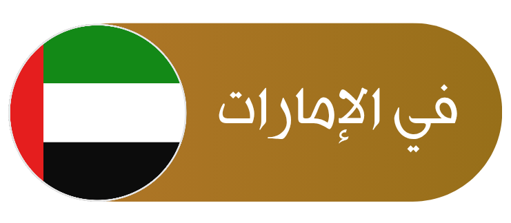 UAE Flag
